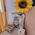 Il Girasole Di Spezia Apartamento *