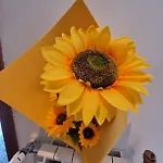 Il Girasole Di Spezia * La Spezia