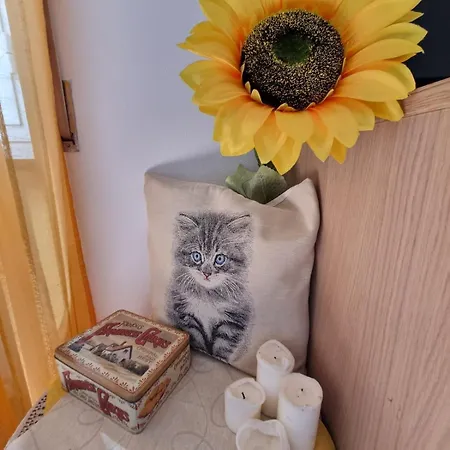 Il Girasole Di Spezia Apartment *