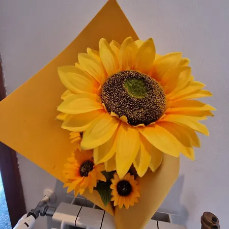 Il Girasole Di Spezia * לה ספציה